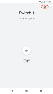 Google Home Switch 1 Settings